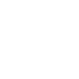 バーベキュー